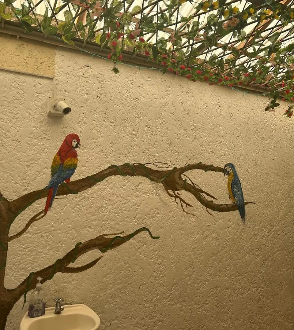 Guest house Viajero Hostel Medellin